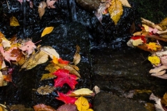 20151017_037