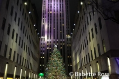 Rock Center