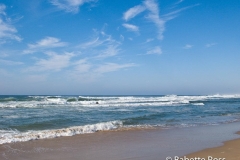 20090801_04