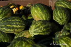 20080907_50