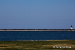 20140819_043