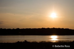 20140820_005