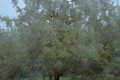 19981010_5