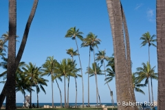 Waikiki