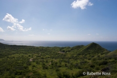 Diamond Head