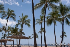 Hilton Hawaiian Village