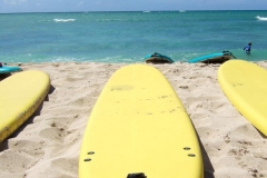Hawaiian Fire Surf Lesson