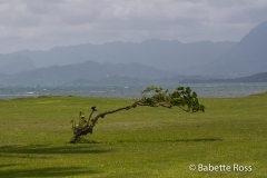 Kualoa Park
