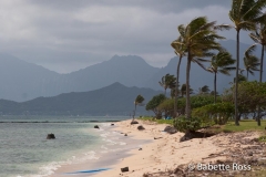 Kualoa Park