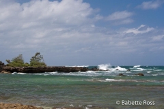 Kahuku