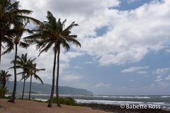 Haleiwa