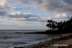 North Shore
