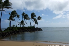 Kohala