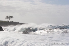 Waimea Bay