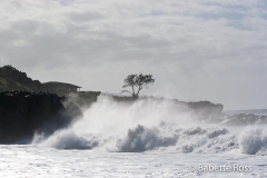 Waimea Bay