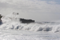 Waimea Bay