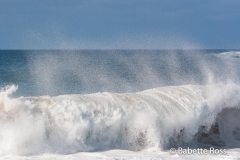 Waimea Bay