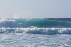 Bonzai Pipeline