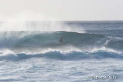 Bonzai Pipeline