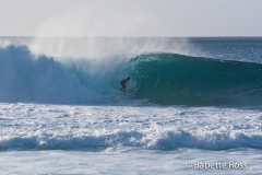 Bonzai Pipeline