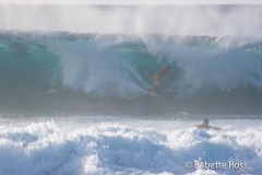 Bonzai Pipeline