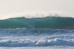 Bonzai Pipeline