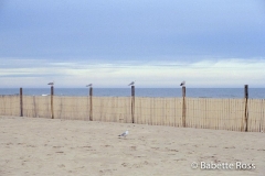 Ocean City