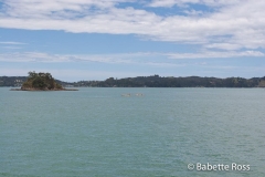 Paihia