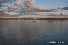 Paihia