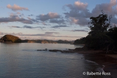 Paihia