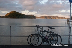 Paihia