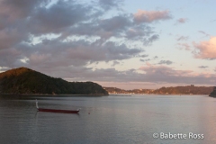Paihia