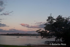 Paihia