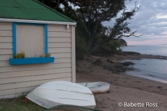 Paihia