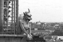 Gargoyle, Notre Dame 1997-09-04