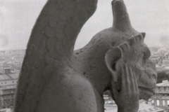 Gargoyle, Notre Dame 1997-09-04