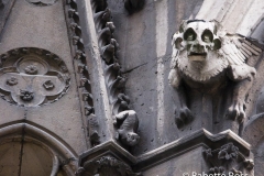 Notre Dame Gargoyle 2009-07-09