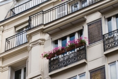 Window Boxes 2009-07-09