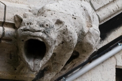 Sacre Coeur Gargoyle 2009-07-10