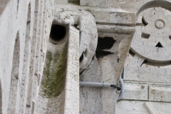 Sacre Coeur Gargoyle 2009-07-10