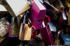 Pont de la Tournelle Locks 2015-11-13