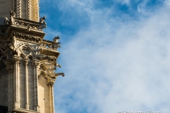 Notre Dame 2015-11-13