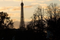 Tuileries Garden 2015-11-13