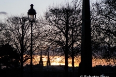 Tuileries Garden 2015-11-13