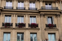 Flower Boxes 2015-11-14