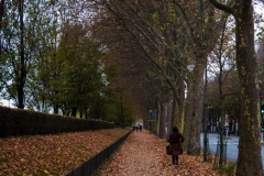 Quai d'Orsay 2015-11-14