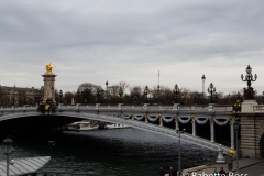 Pont Alexandre III 2015-11-14