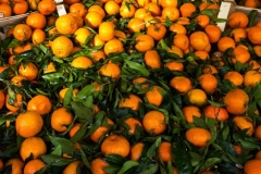 Clementines 2015-11-15