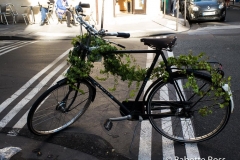 Vine Covered Bike 2015-11-15