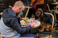 Lunch with a Friend 2015-11-15